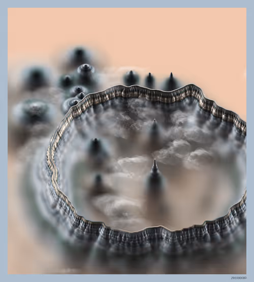 Item #291000080 Media