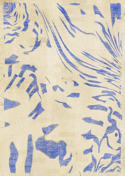 Item #304000637 Media