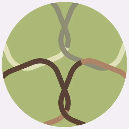 Item #166000639 Media