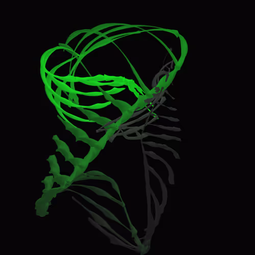 Item #268000017 Media