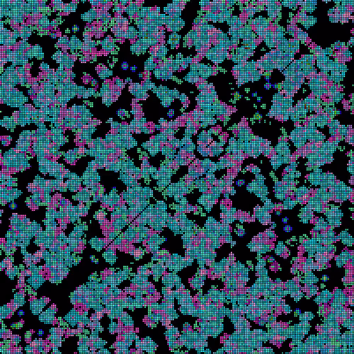 Item #175000042 Media