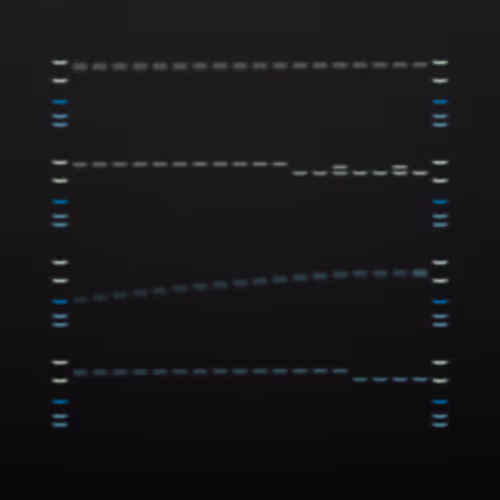 Item #322000073 Media