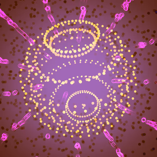 Item #250000868 Media