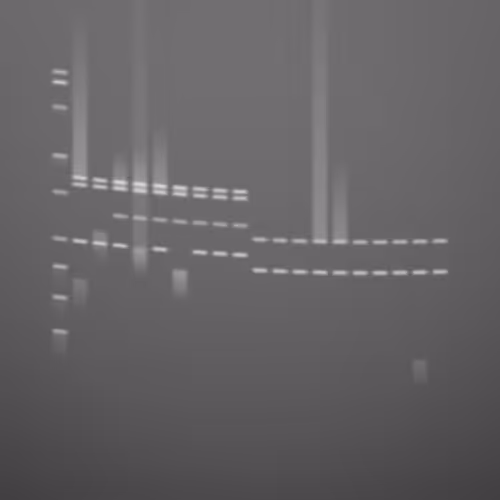 Item #322000161 Media