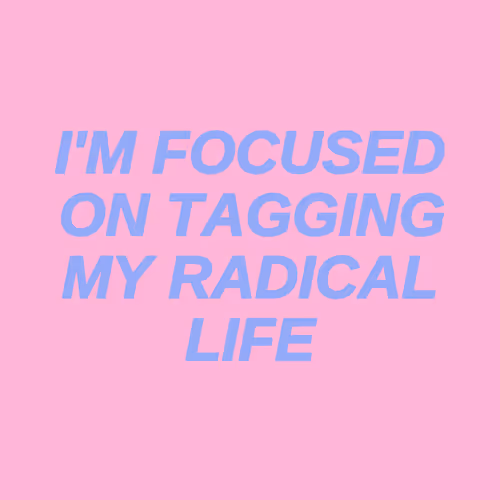 Item #337000053 Media