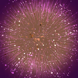 250000161