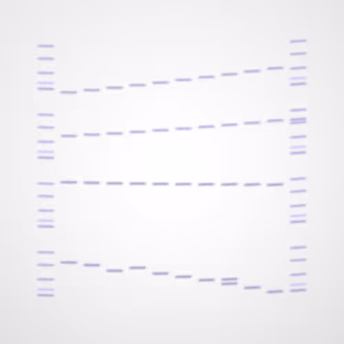 Item #322000157 Media