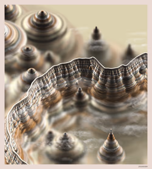 Item #291000308 Media