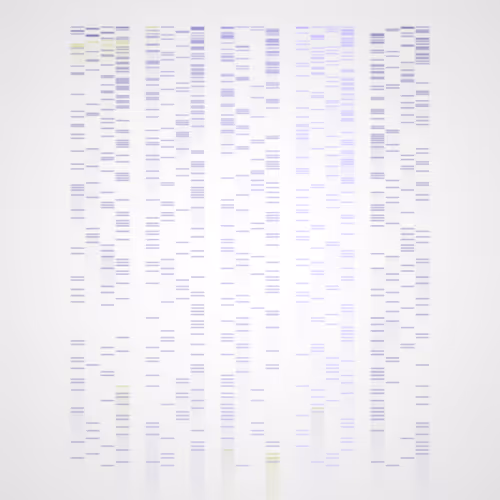 Item #322000045 Media