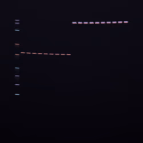 Item #322000006 Media