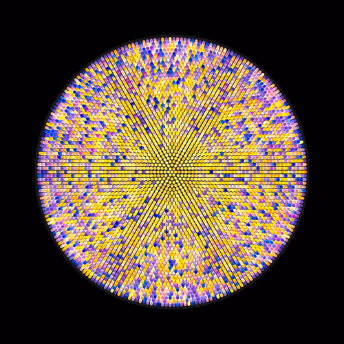 Item #117002384 Media