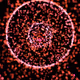 250000566