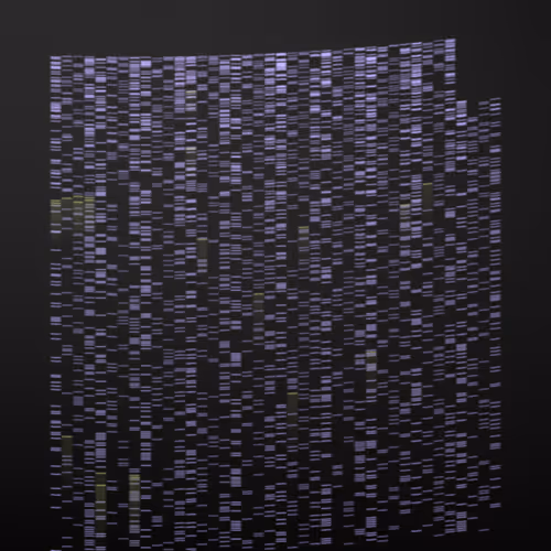 Item #322000008 Media