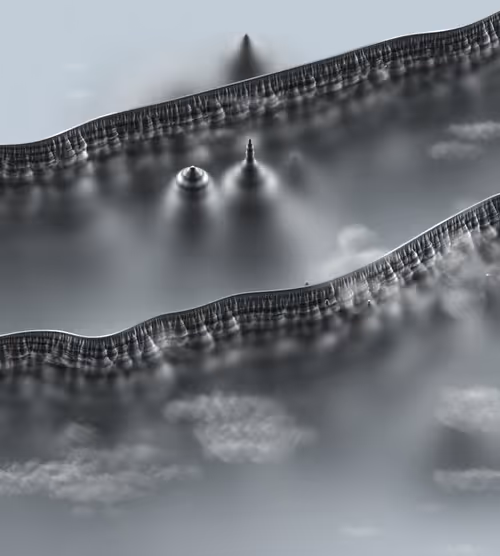 Item #291000300 Media