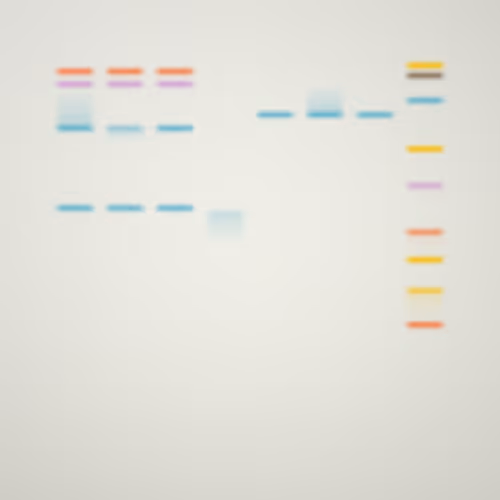 Item #322000178 Media