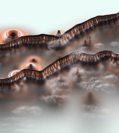 Item #291000239 Media