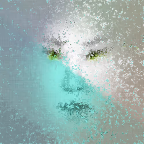 Item #323000298 Media