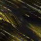169000001