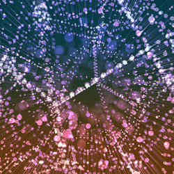 250000738