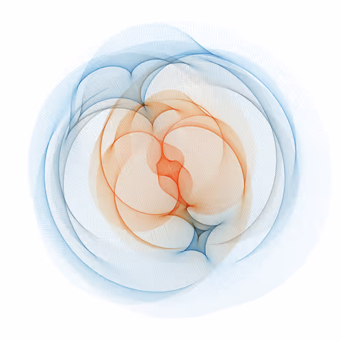 Item #210000145 Media