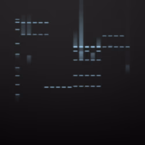 Item #322000156 Media