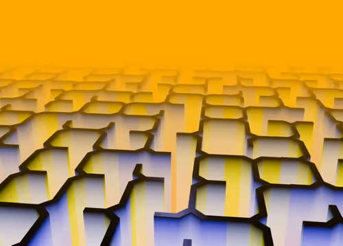 Item #298000016 Media