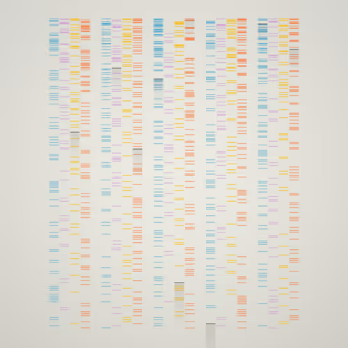 Item #322000134 Media