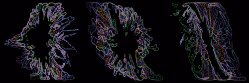 Item #302000168 Media