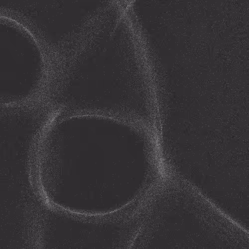 Item #320000176 Media