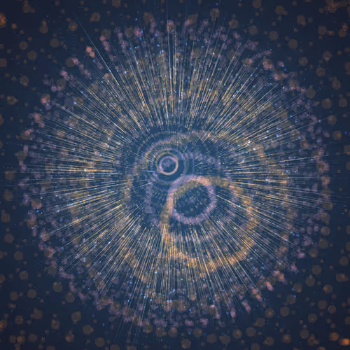 Item #250000351 Media