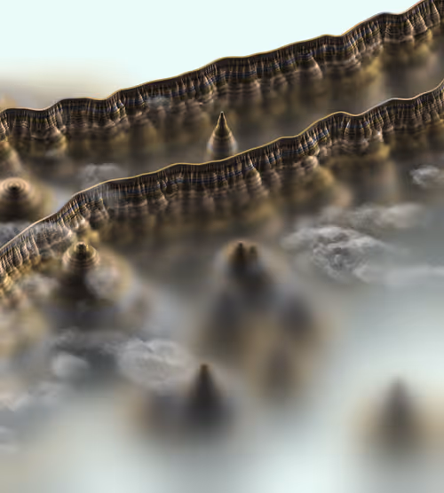 Item #291000055 Media