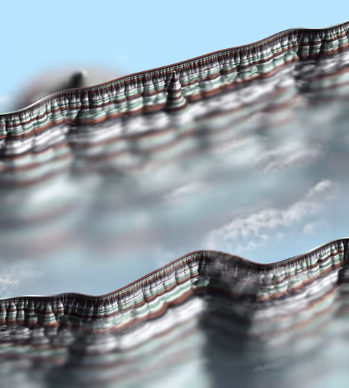 Item #291000016 Media