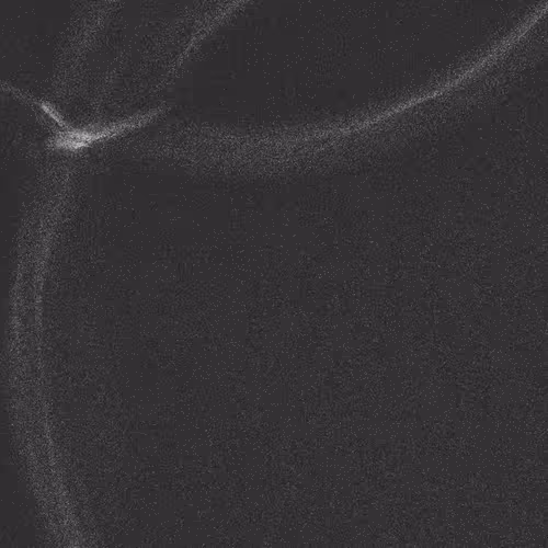 Item #320000416 Media