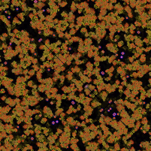 Item #175000043 Media