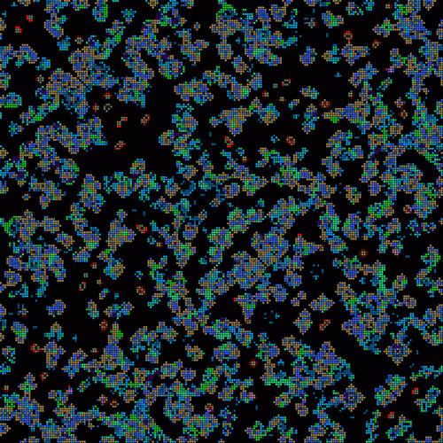 Item #175000232 Media