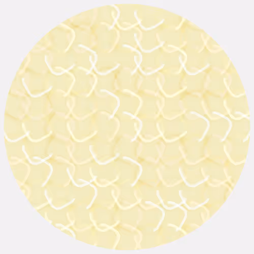 Item #166000903 Media