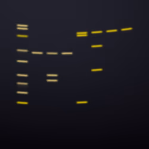 Item #322000067 Media