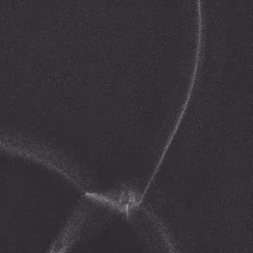 Item #320000444 Media