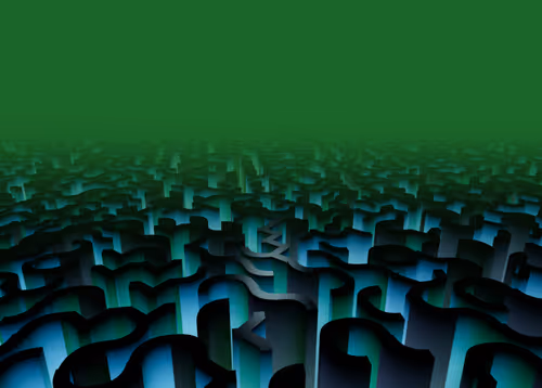 Item #298000133 Media