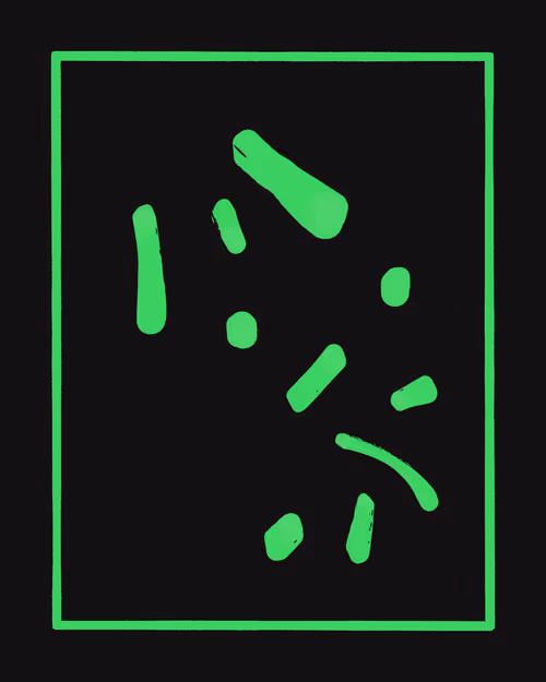 Item #281000142 Media