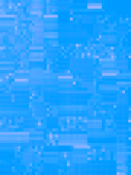 Item #332000287 Media