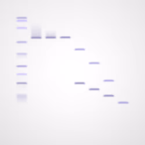 Item #322000089 Media