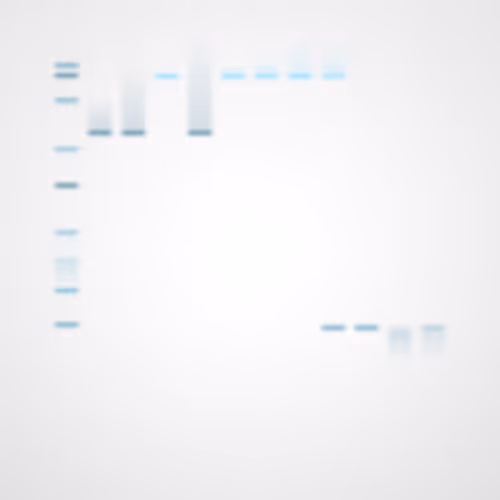 Item #322000010 Media