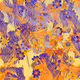 Fragments of an Infinite Field #345