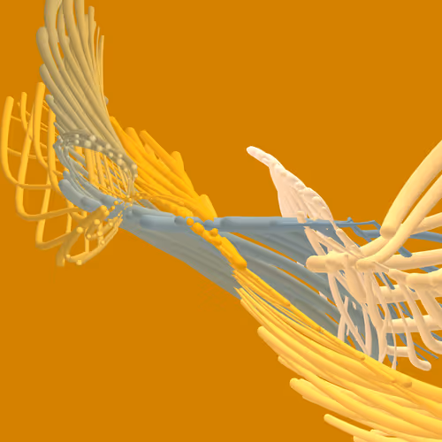 Item #268000102 Media