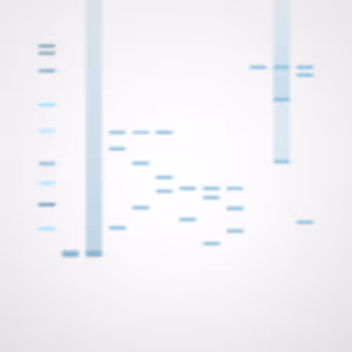 Item #322000168 Media