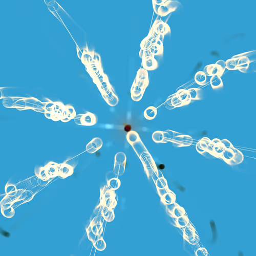 Item #250000427 Media