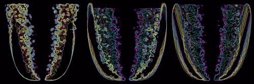 Item #302000294 Media