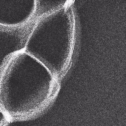 Item #320000290 Media