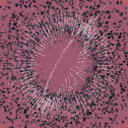 250000416